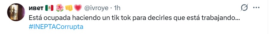 ocupada en TikTok