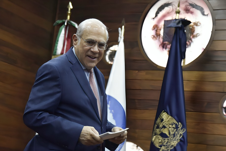 La millonaria pensión de Gurría Treviño