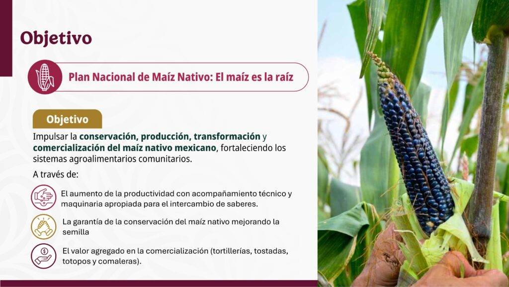Plan nacional El Maíz es Raíz 