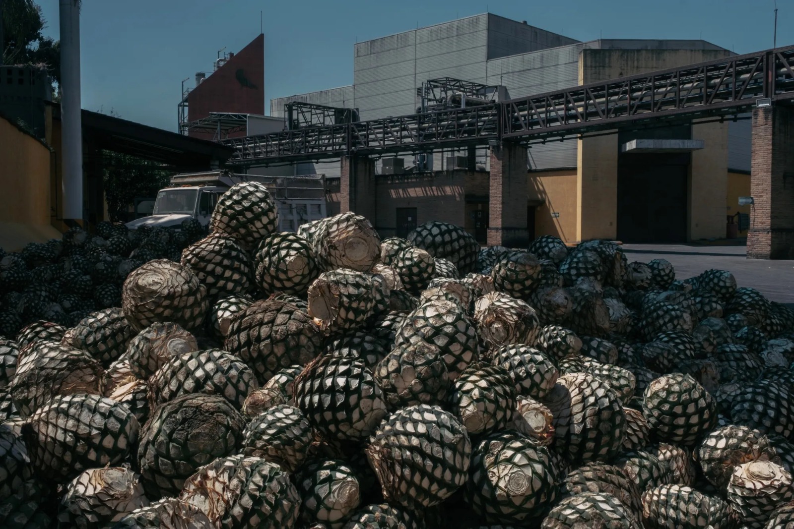 Planta José Cuervo