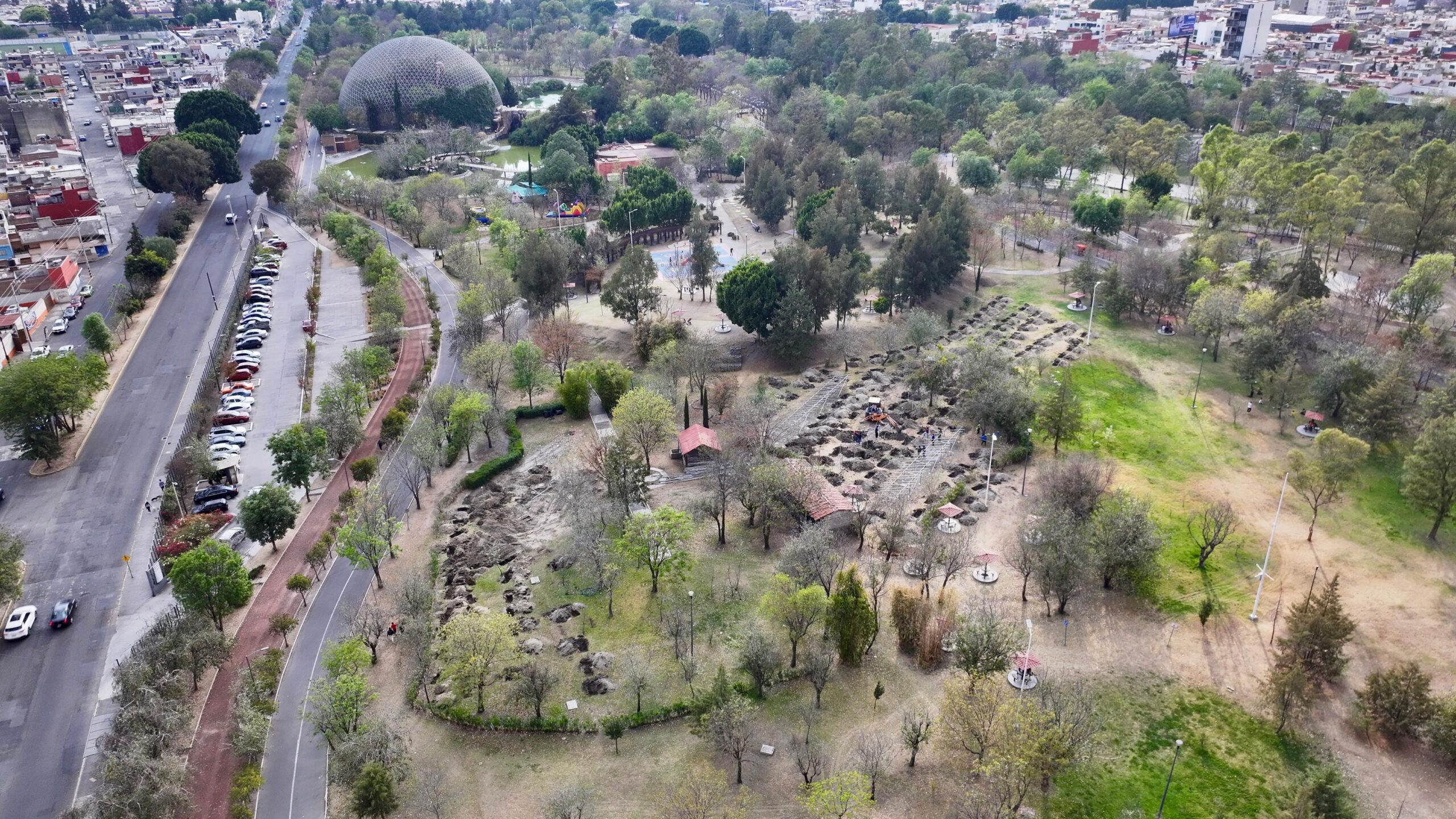 Proyecto de reforestación del gobierno de Armenta 