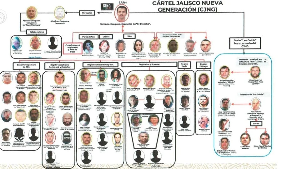 ¿Quién es Guadalupe Moreno?