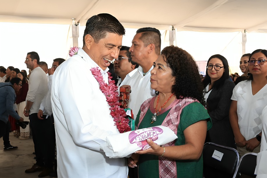 secretaria de Jara usaría personal de gobierno para limpiar su casa
