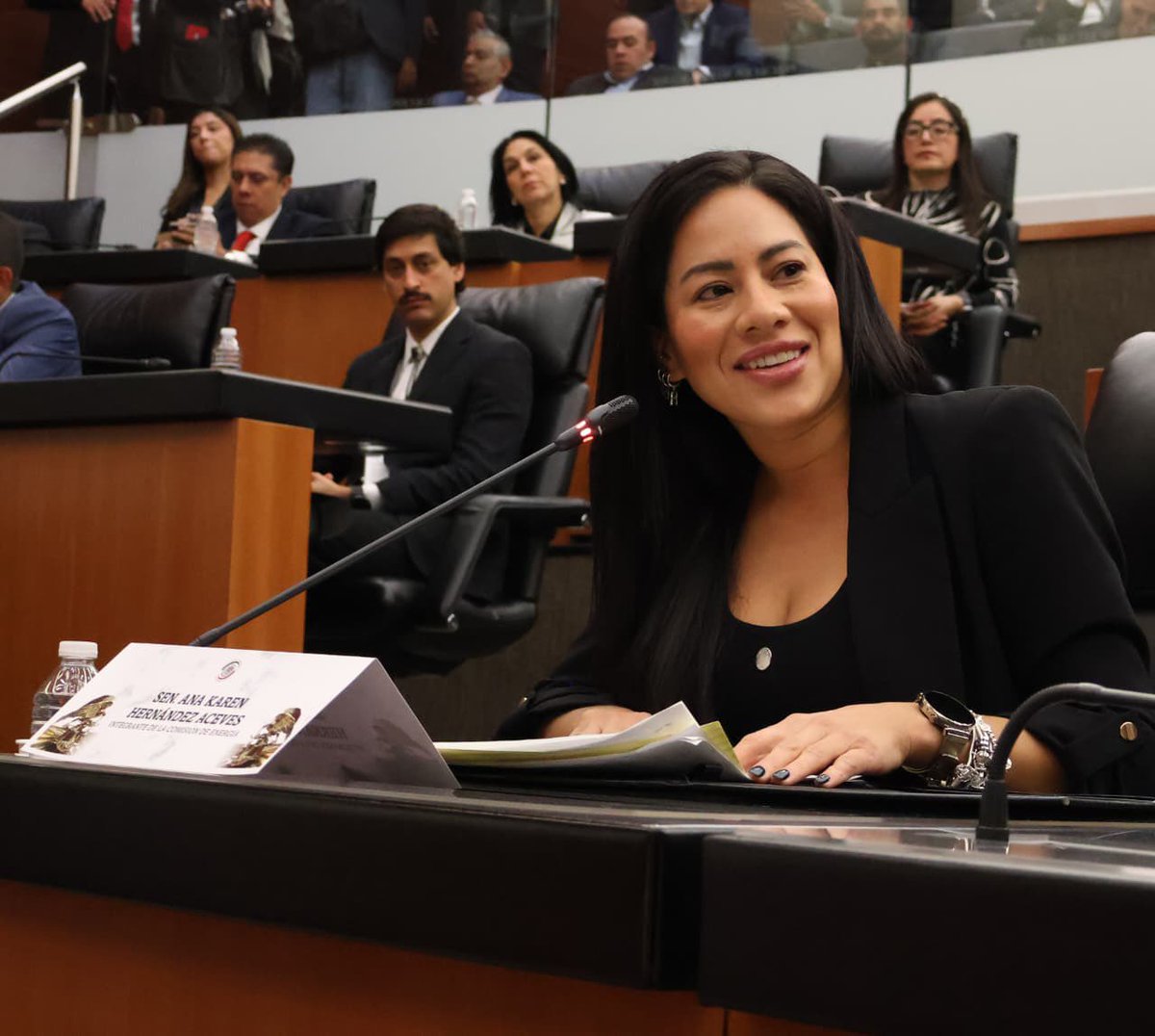 Senadora Ana Karen Hernández 