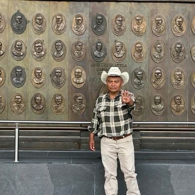 Suplente Sergio Mayer