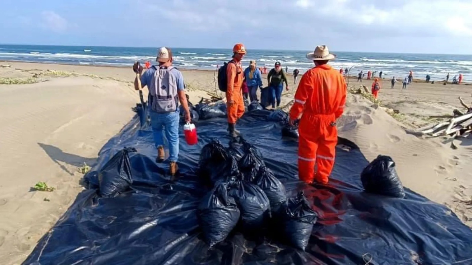 Afectaciones derrame petróleo Golfo 