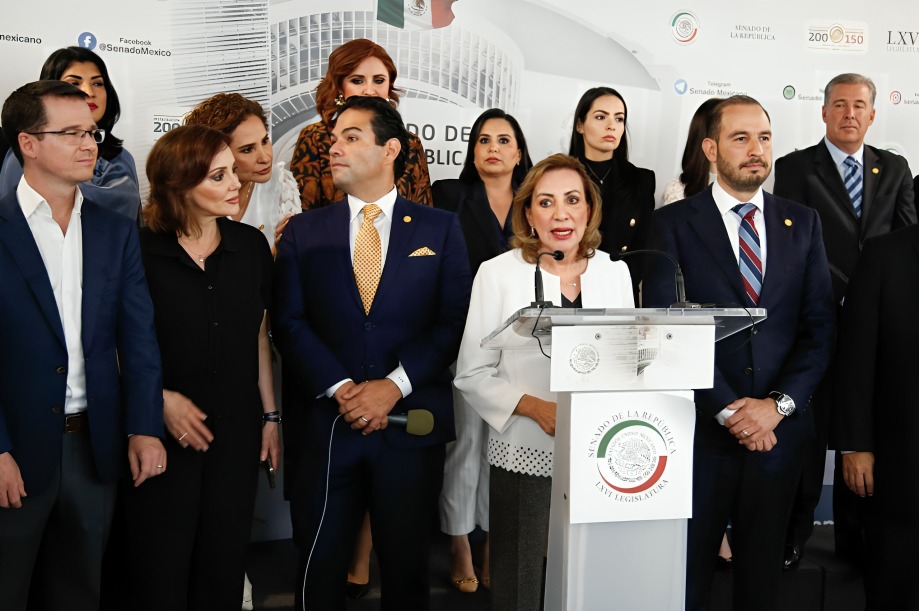 Anaya revela por qué votará contra reforma electoral