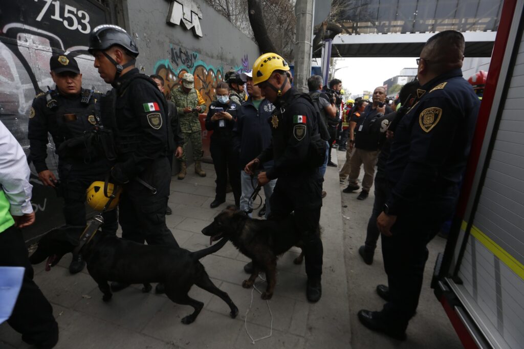 brigada canina acude a edificio
