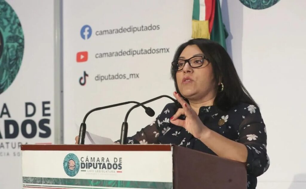 Diputada del PT Oaxaca