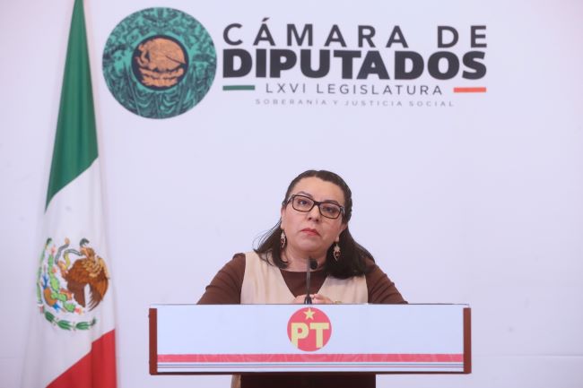 diputada del PT