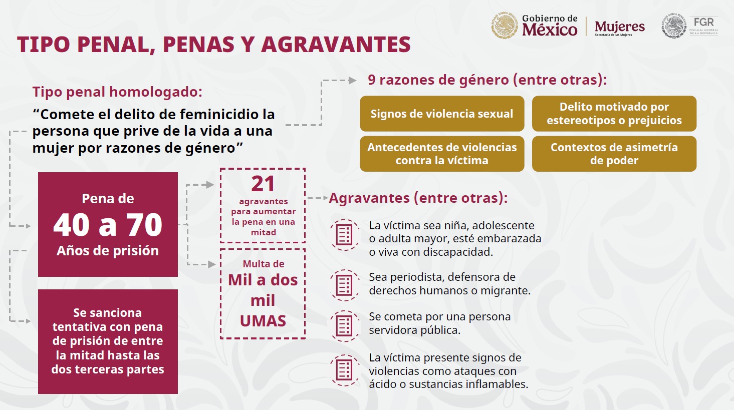 ¿En qué consiste la Ley General contra el Feminicidio de Sheinbaum?