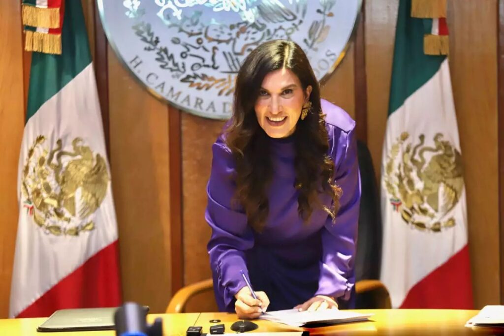 López Rabadán, reforma electoral