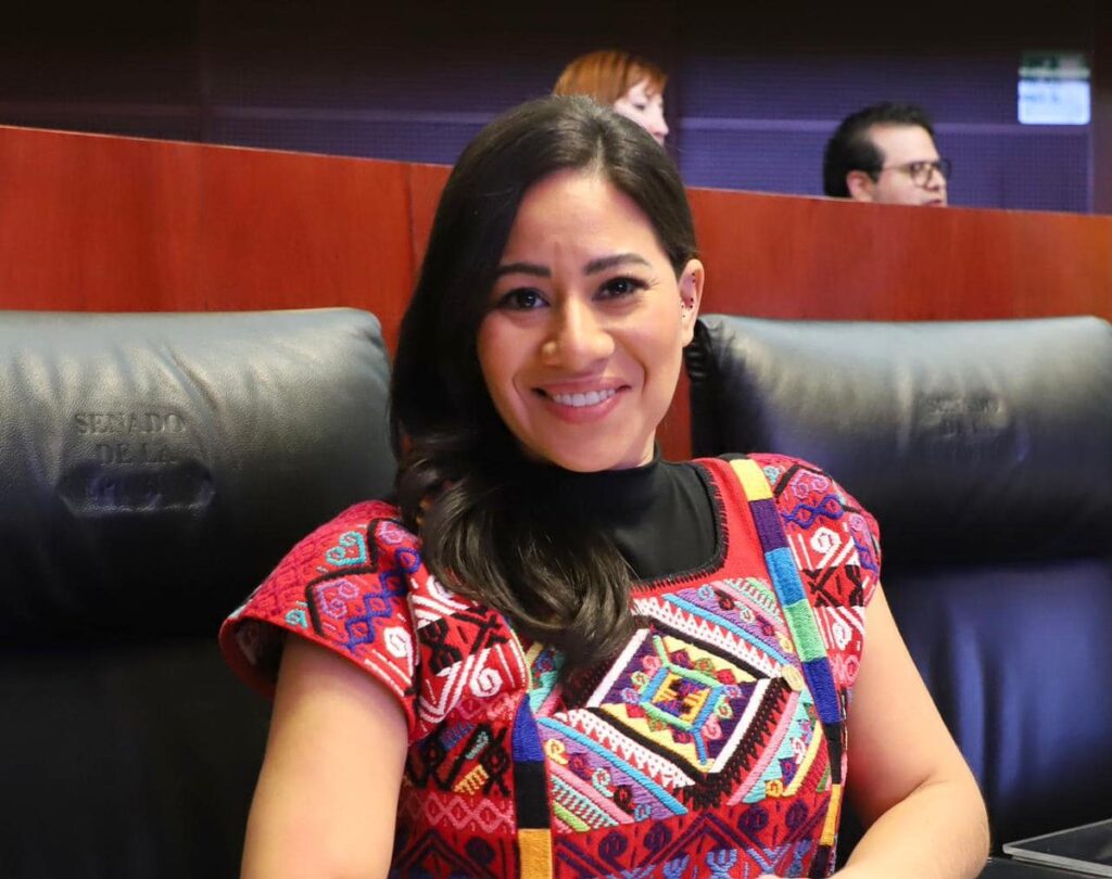 Senadora Ana Karen Hernández PT