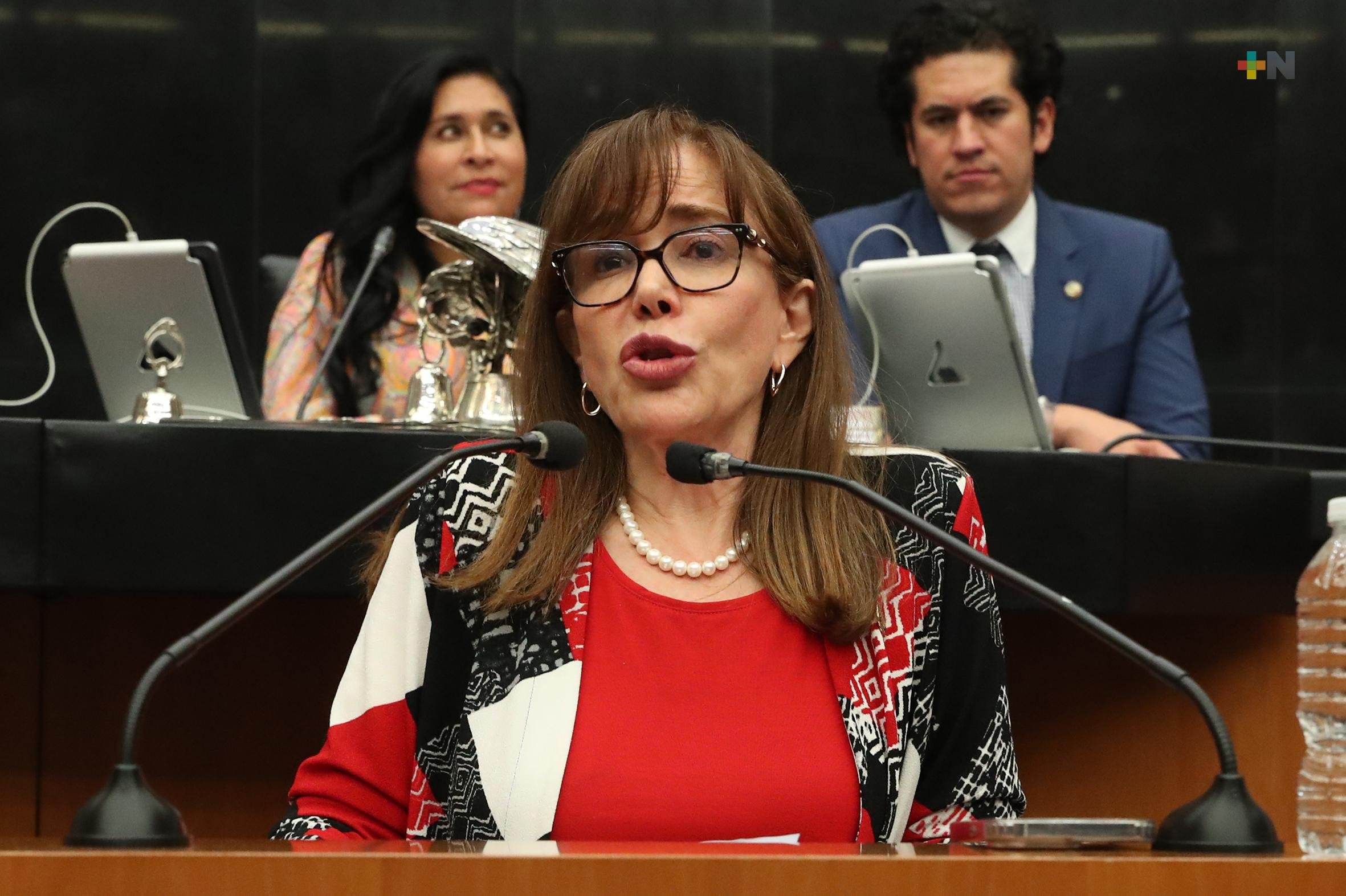 Yeidckol Polevnsky pide licencia previo a votar el Plan B