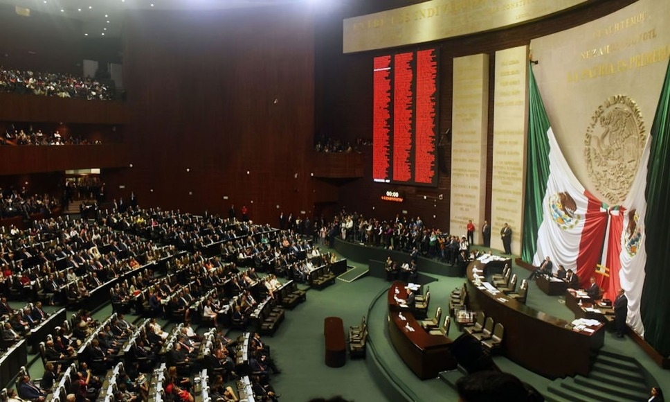Maru Campos al Senado