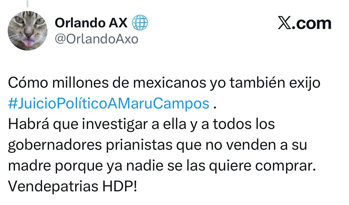 Redes exhiben a Maru Campos