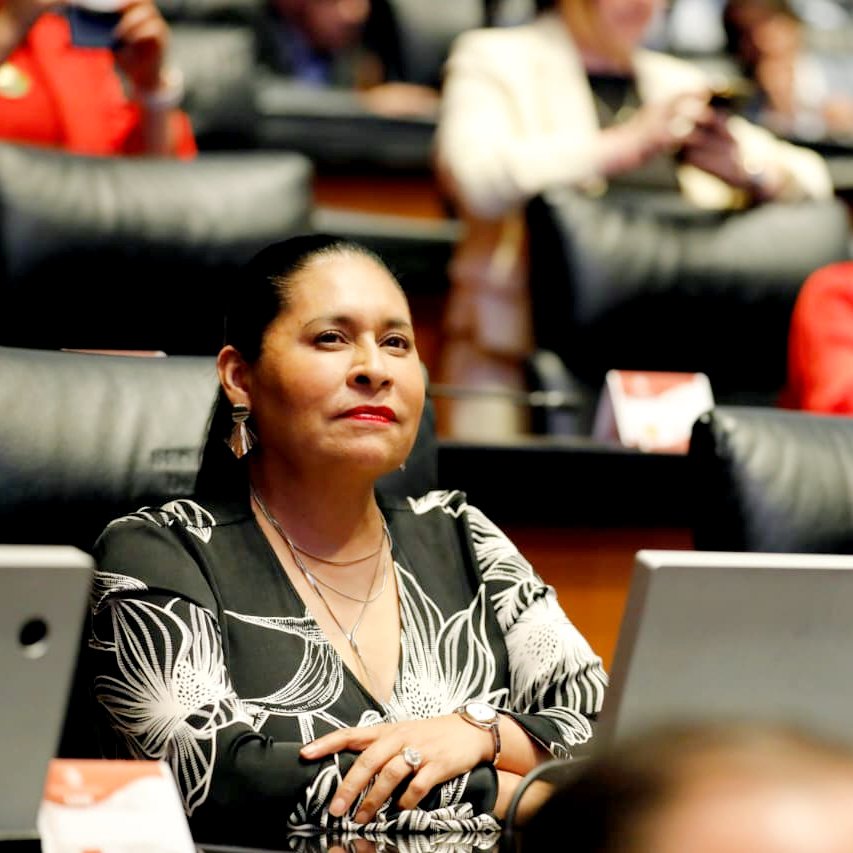 Senadora Ana Lilia Rivera