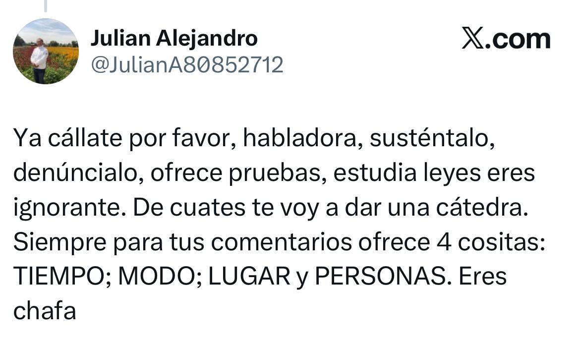 Usuarios critican a Lilly Téllez