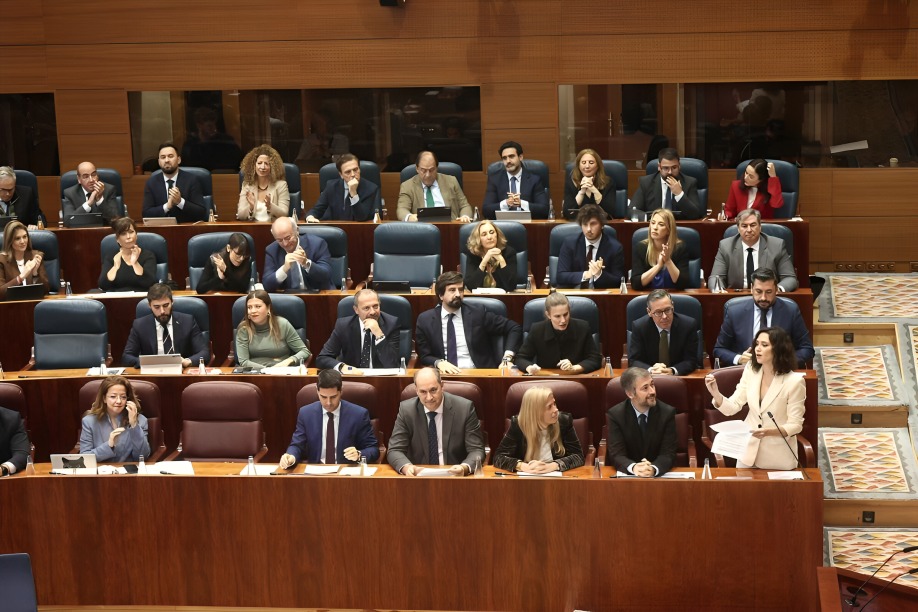 Diputados tunden a Díaz Ayuso y la llaman mentirosa