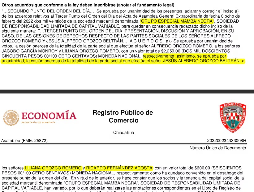 Documentos Mamba Negra