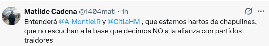 estamos hartos de chapulines