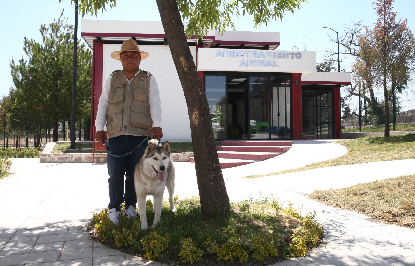 Gobierno del Edomex endurece castigo por maltrato animal