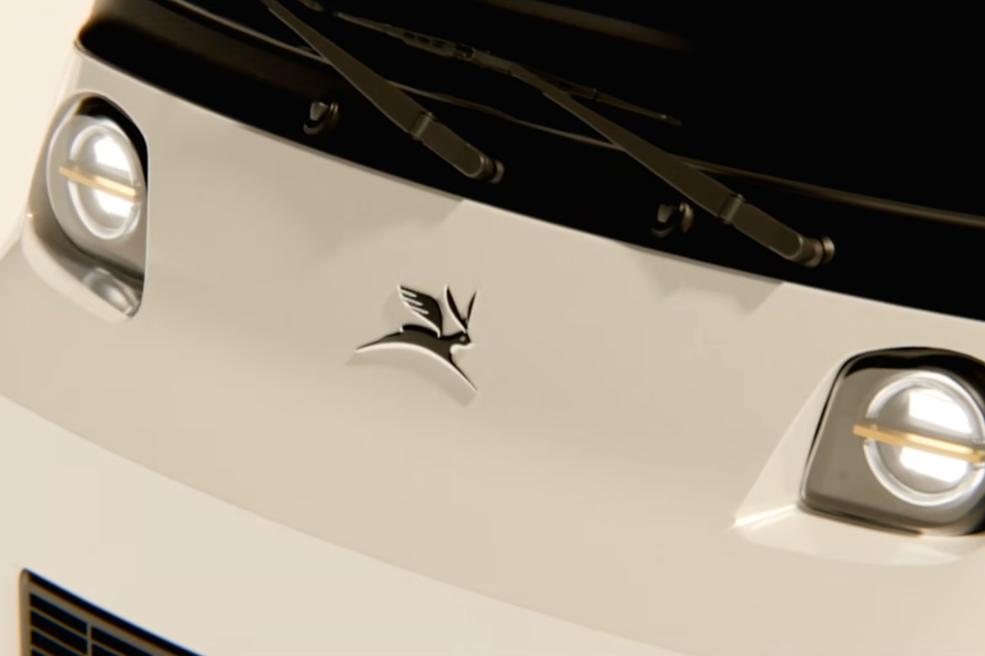 Prototipo Olinia