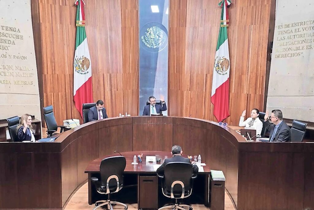 tribunal electoral