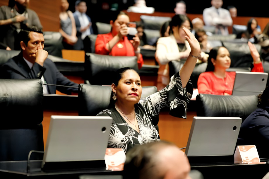 Ana Lilia Rivera licencia en el Senado