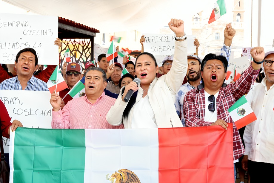 Ana Lilia Rivera pide fortalecer la soberanía de México
