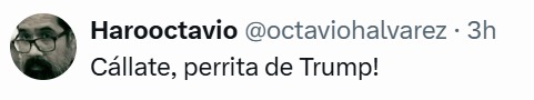 Cállate perrita