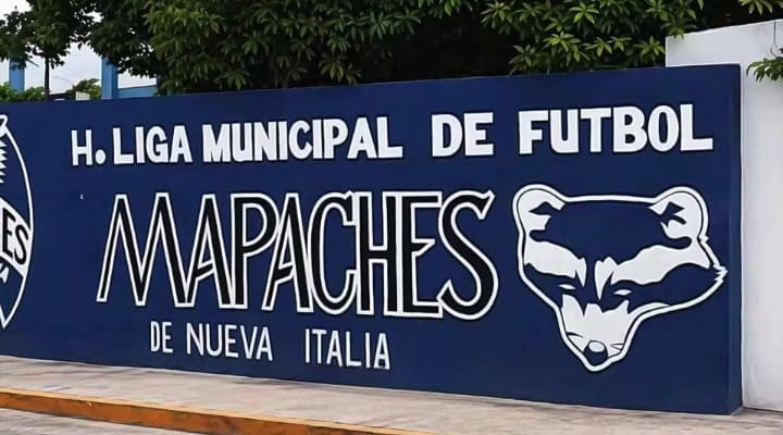 Mapaches de Nueva Italia. El equipo de la Familia Michoacana