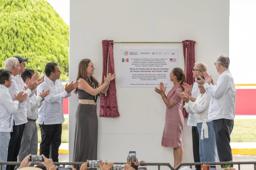 Develan placa planta