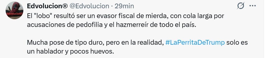 evasor fiscal
