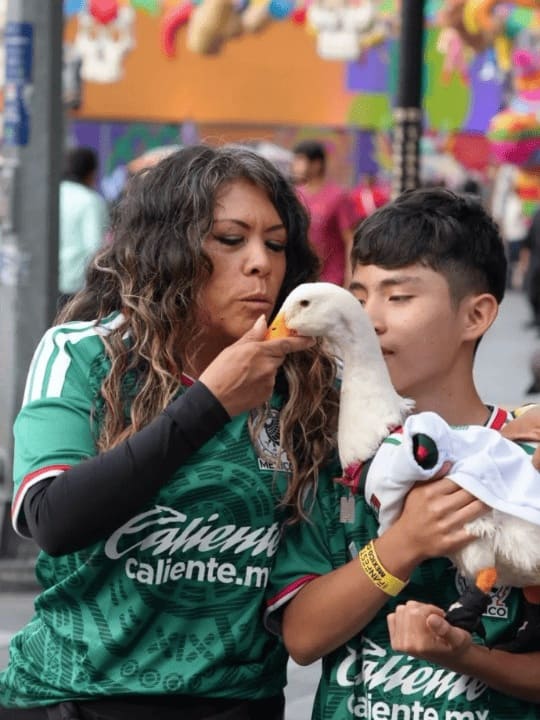 ¿Qué implica que Pato Merlín sea marca registrada?