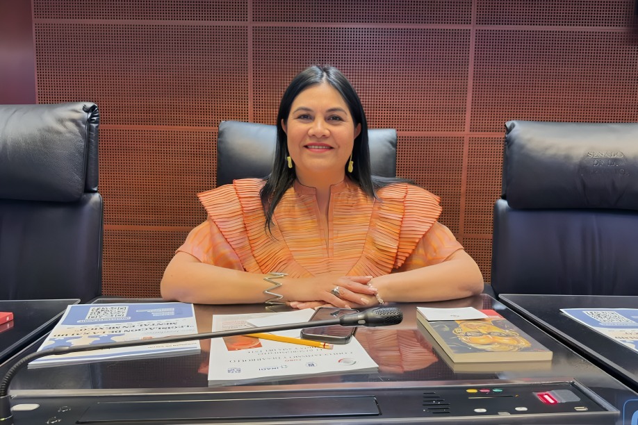Guadalupe Chavira reconoce dismunición de violencia vs. mujeres