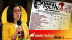 Nayeli Roldán sale de Animal Político tras 12 años; redes reaccionan