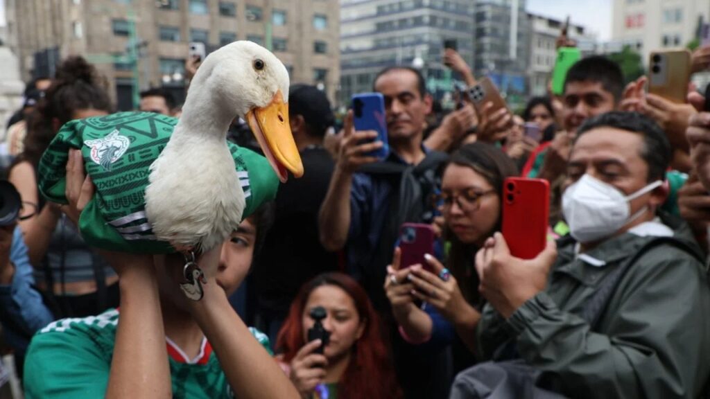 Pato Merlín Mundial FIFA