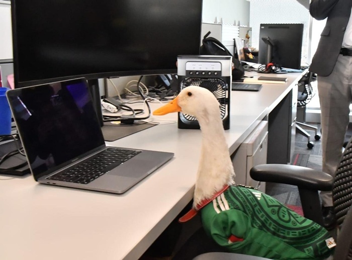 Pato Merlín recibe acta de nacimiento