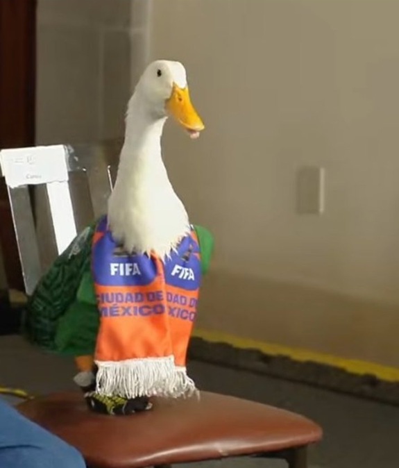 Familia de Pato Merlín anuncia su registro