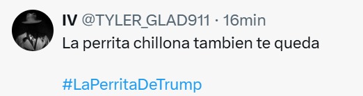perrita chillona