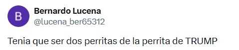 Perritas de Trump