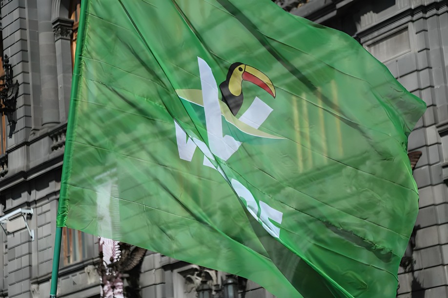 Senador del Verde rechaza que ganó por Morena