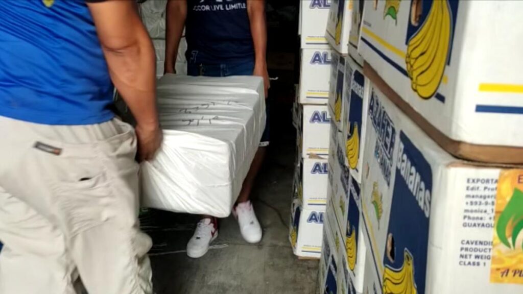empresa bananera de Noboa