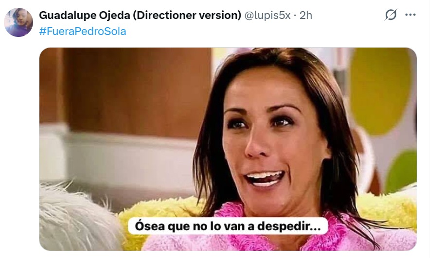 Fuera Pedro Sola