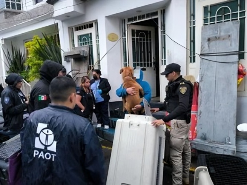 PAOT CDMX