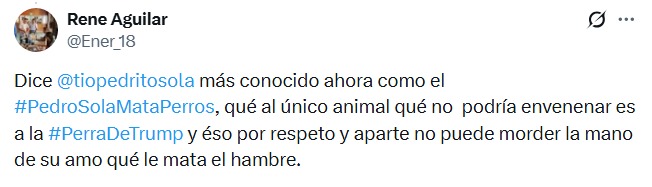 Redes tunden a Pedro Sola tras sugerir envenenamiento de perros