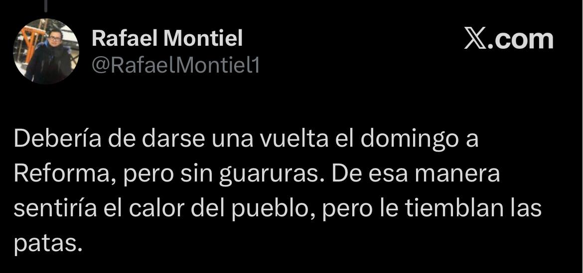 Redes se burlan de #PerritaDeTrump