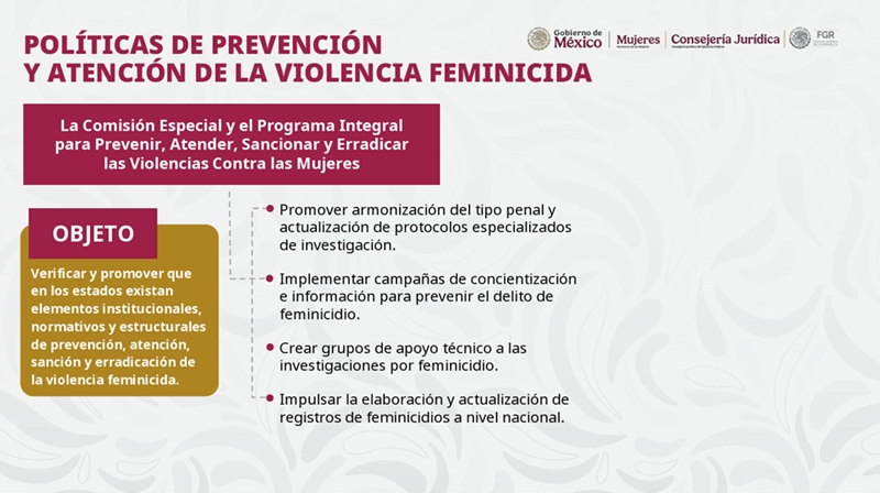 ¿Qué busca la nueva ley contra el feminicidio?